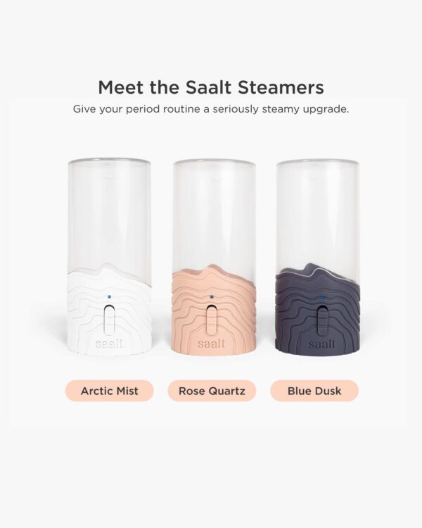 Saalt Steamer - Image 3