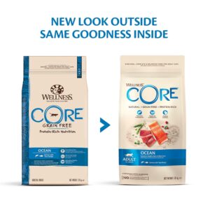 Wellness Core Grain-free Adult Dry Cat Food - Ocean Salmon with Tuna