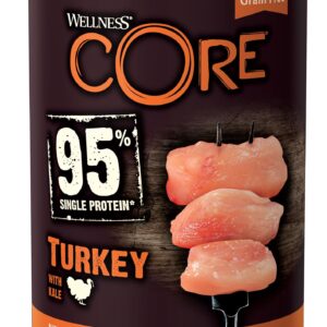 Wellness Core Grain-free Adult Wet Dog Food - Turkey with Kale