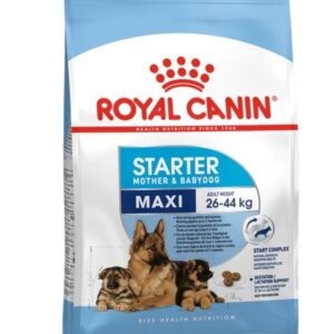 Royal Canin Maxi Starter Mother and Babydog
