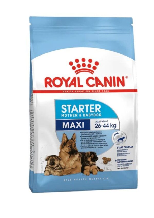 Royal Canin Maxi Starter Mother and Babydog