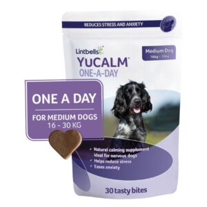 YuMOVE One-A-Day Calming Care Supplement for Medium Dogs