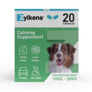 Zylkene Calming Supplement for Dogs - 10-30kg