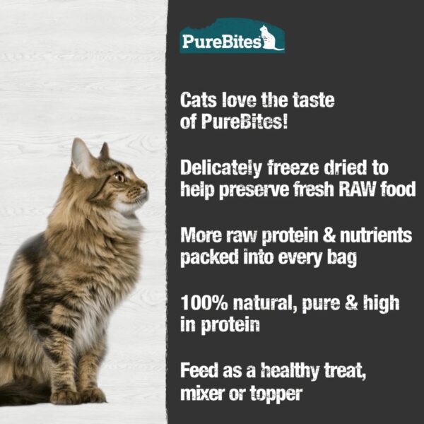 PureBites- Freeze Dried Minnow Cat Treat - Image 3